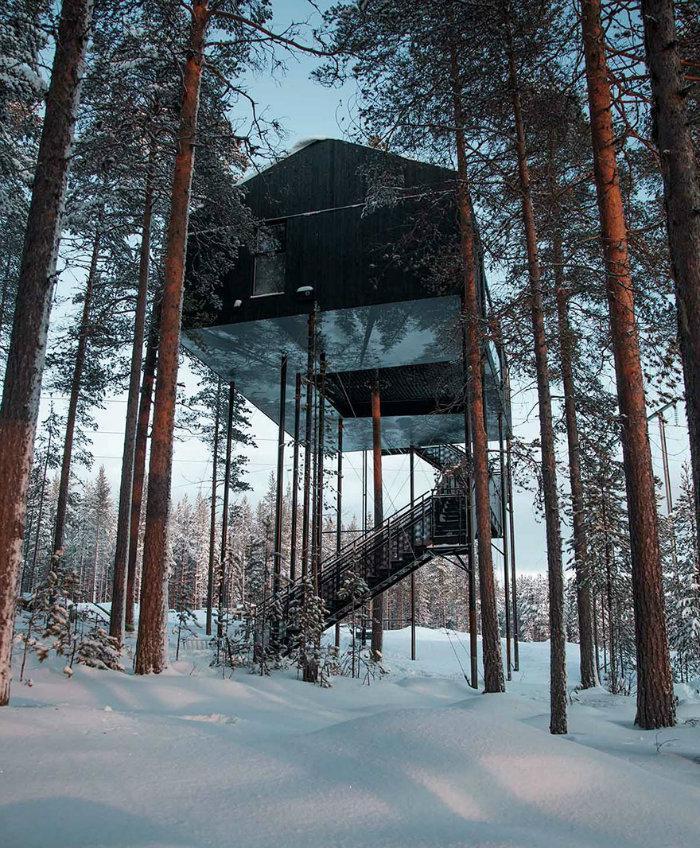 تماشای شفق قطبی در سوئد آن هم بر روی هتل هایی که روی درخت ساخته شده اند