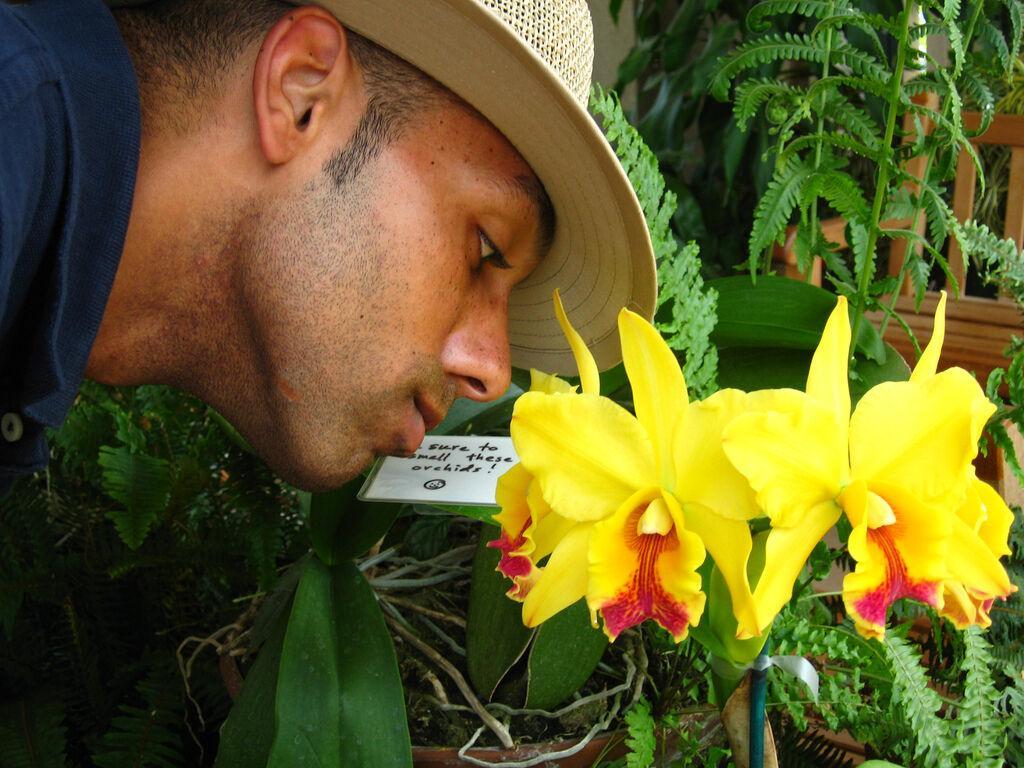 بازیابی حس بویایی با استفاده از سلول های بنیادی بازیابی حس بویایی با استفاده از سلول های بنیادی