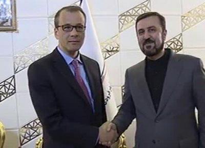 مدیرکل موقت آژانس وارد تهران شد