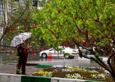هوای بهاری تهران در شرایط قابل قبول است