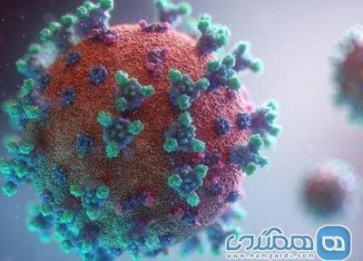 از ویروس کرونای هیبرید هندی کالیفرنیایی چه می دانیم؟