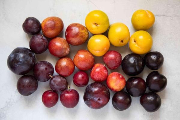 خواص میوه های تابستانی؛ از کاهش خطر سکته مغزی تا کند شدن روند پیری